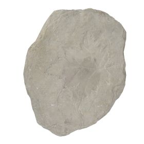 Concrete Fossil Accent Stone with Maple Leaf Imprint, White