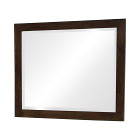 40 Inch Solid Wood Modern Mirror, Portrait, Framed, Cappuccino Brown
