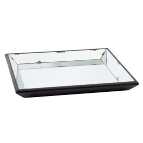Inez 20 Inch Decorative Glass Tray, Silver Mirrored, Wall Hanger, Medium